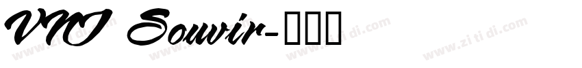 VNI Souvir字体转换